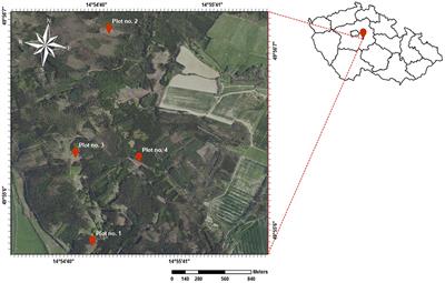 Drone microrelief analysis to predict the presence of naturally regenerated seedlings